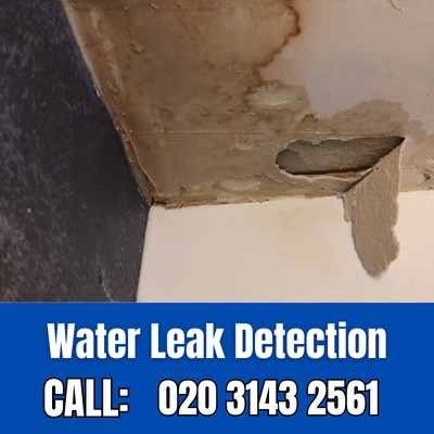 Expert Water Leak Detection Services in Finchley Central | Finchley Central Leak Detection